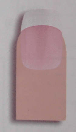 Donegal - Sztuczne paznokcie art. nr 9431 (FN-20W), 5907549204317
